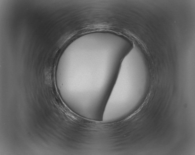 X0000083611162200702120716