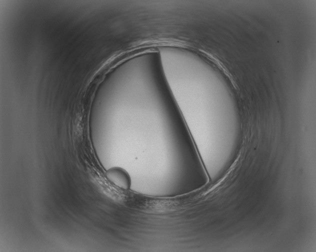 X0000083611163200702120716