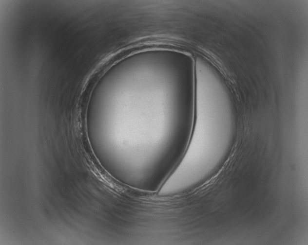 X0000083611164200702120716