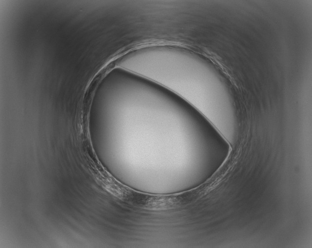 X0000083611165200702120716