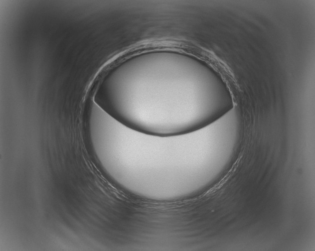 X0000083611166200702120716