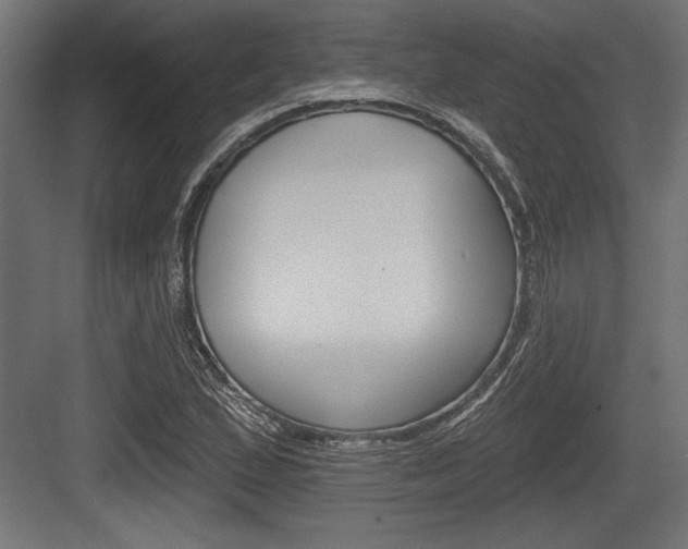 X0000083611167200702120716