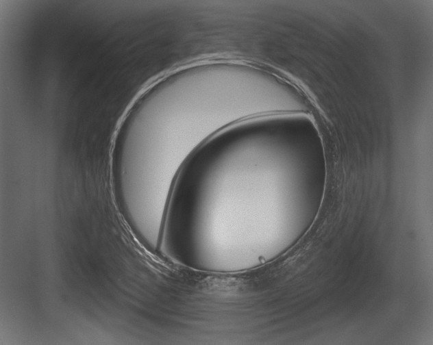 X0000083611168200702120716
