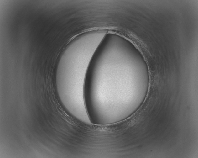 X0000083611169200702120716