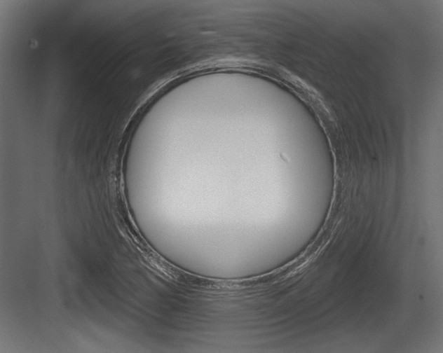 X0000083611170200702120716
