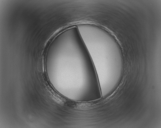 X0000083611171200702120716