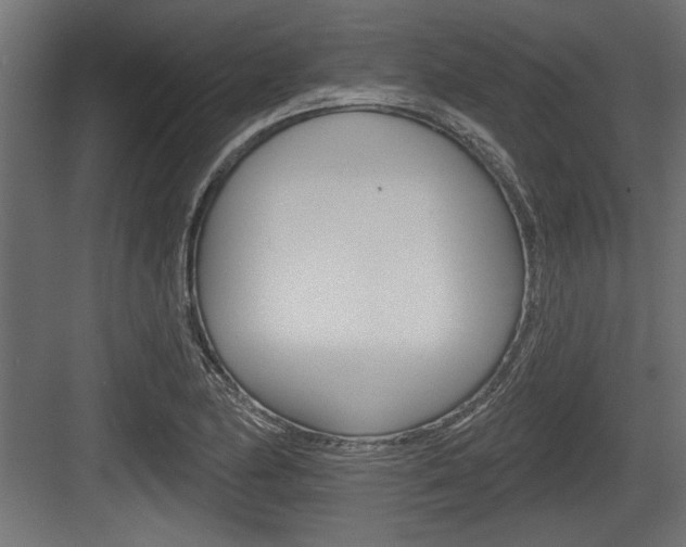 X0000083611174200702120716