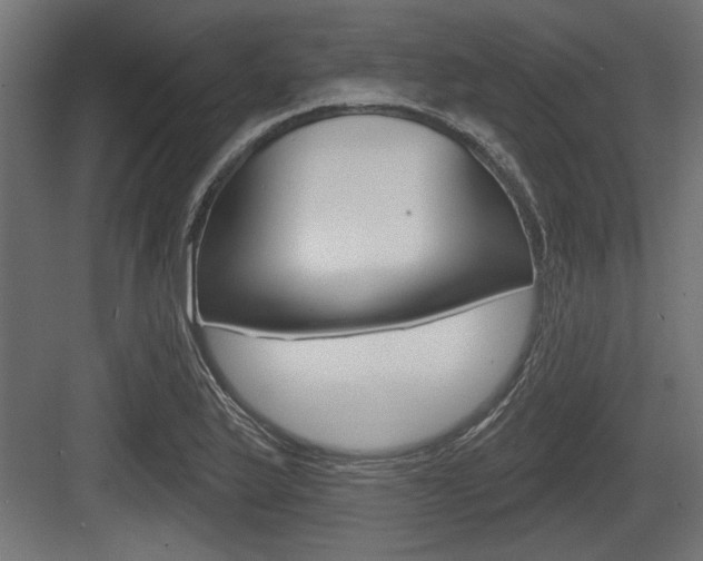 X0000083611175200702120716