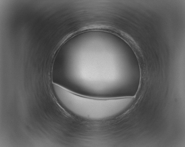 X0000083611177200702120716