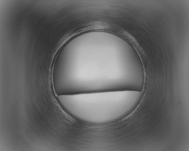 X0000083611178200702120716