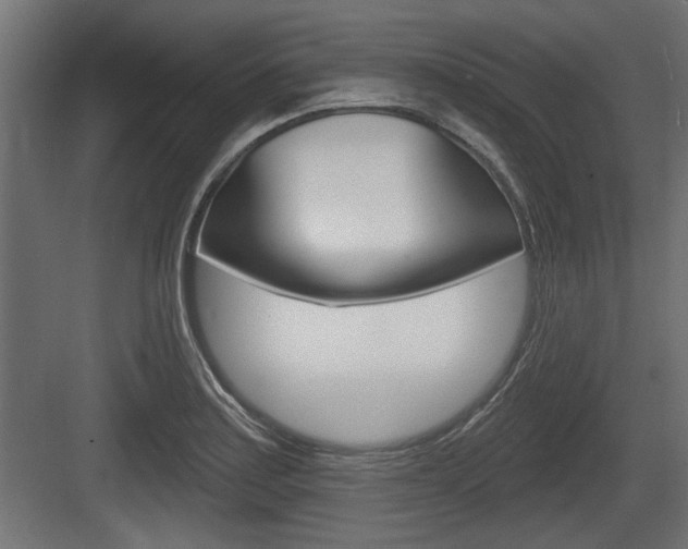 X0000083611179200702120716