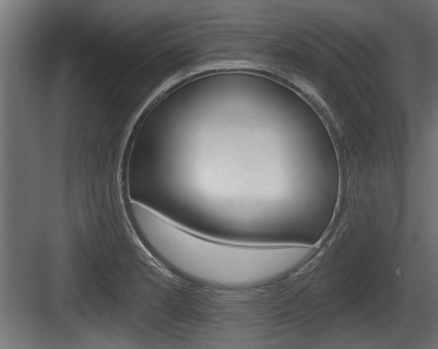 X0000083611181200702120716