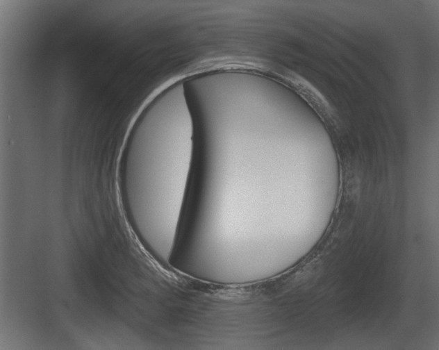 X0000083611182200702120716