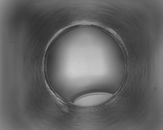 X0000083611183200702120716