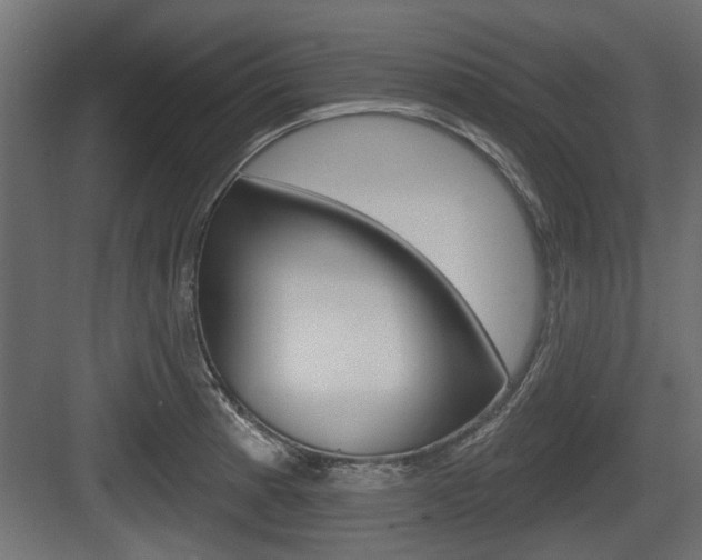 X0000083611185200702120716