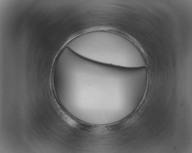 X0000083611186200702120716