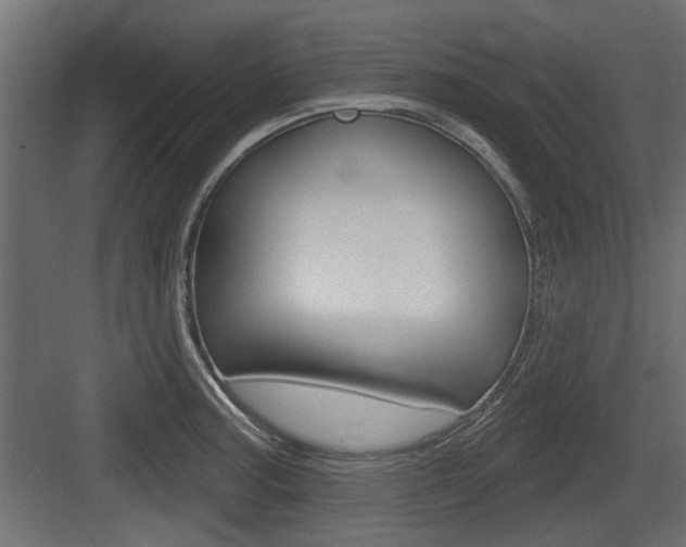 X0000083611187200702120716