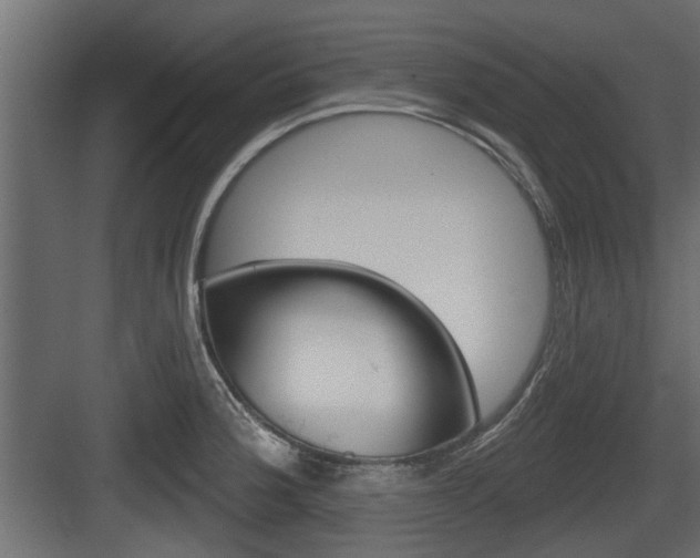 X0000083611188200702120716