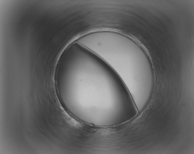 X0000083611189200702120716