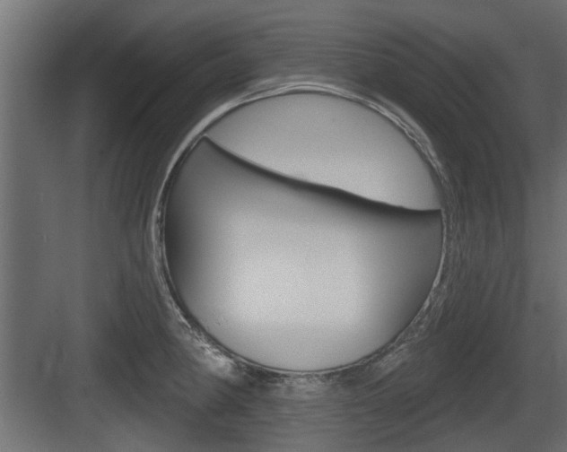 X0000083611190200702120716