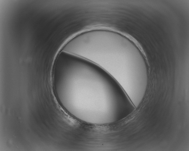 X0000083611191200702120716