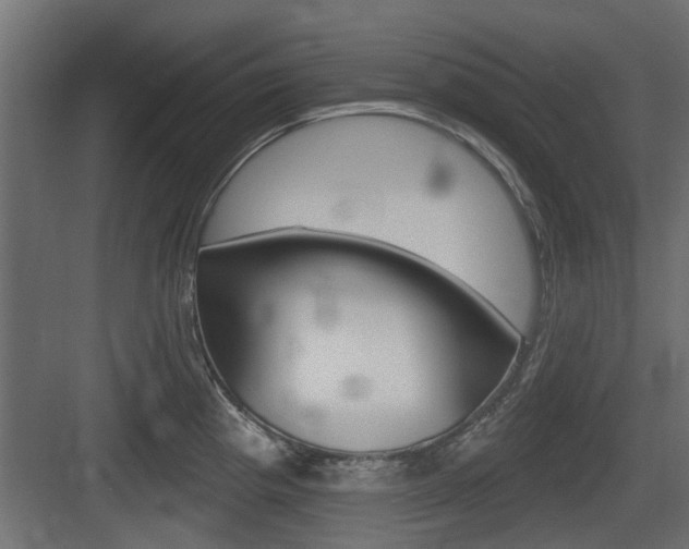 X0000083611193200702120715