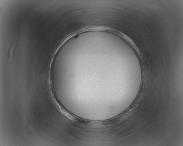 X0000083611194200702120715