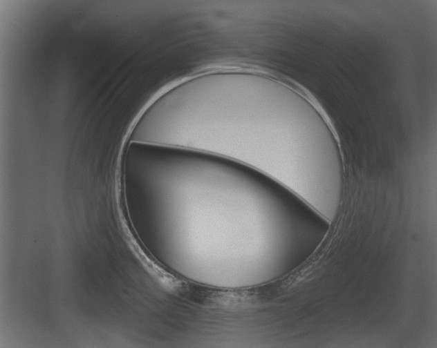 X0000083611195200702120715
