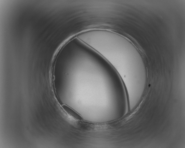 X0000083611196200702120715
