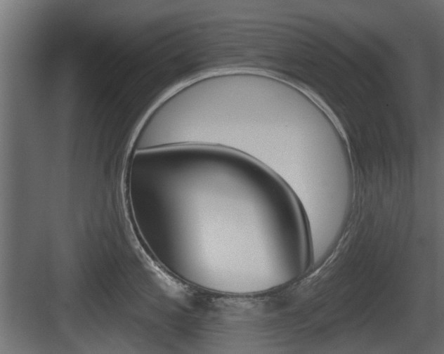 X0000083611197200702120715