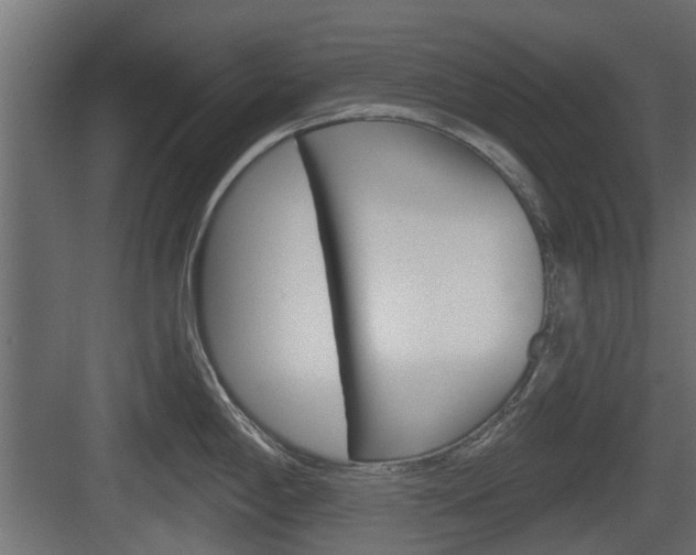 X0000083611198200702120715