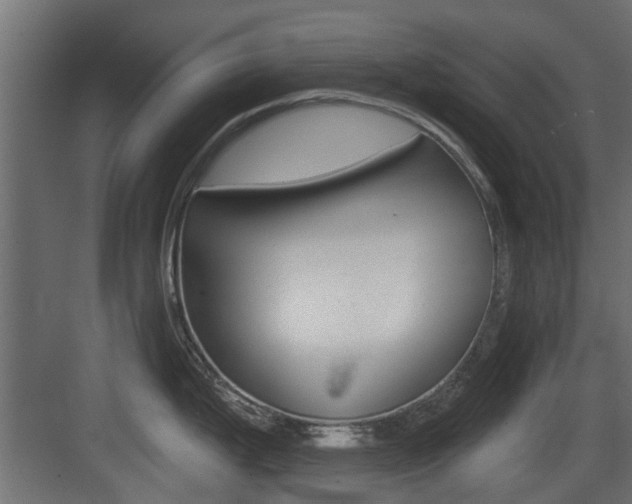 X0000083611199200702120715