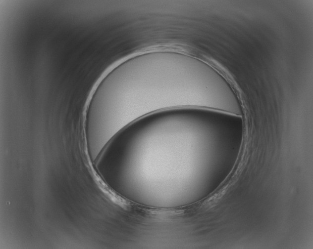 X0000083611200200702120715
