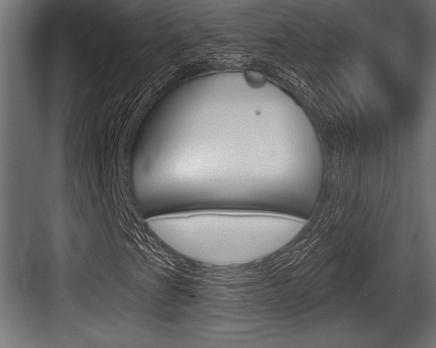 X0000083611201200702120715