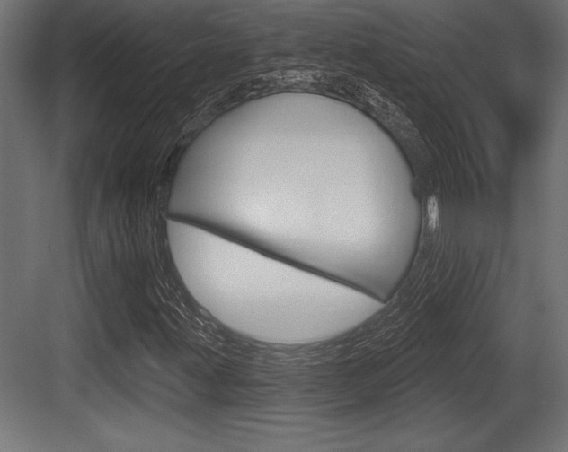 X0000083611203200702120715