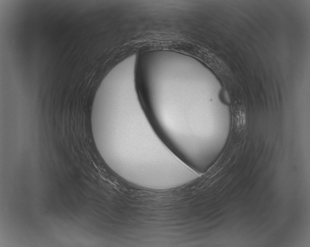 X0000083611204200702120715
