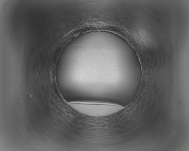 X0000083611205200702120715