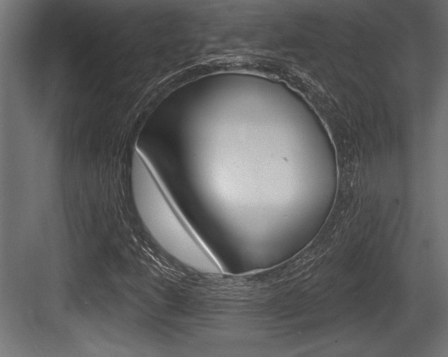 X0000083611206200702120715