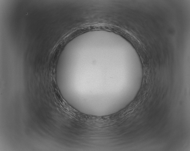 X0000083611207200702120715