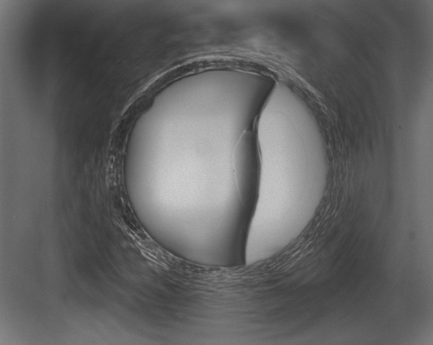 X0000083611208200702120715