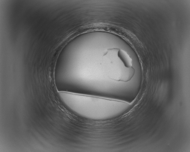 X0000083611209200702120715