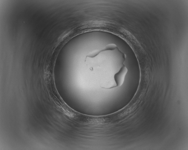 X0000083611210200702120715