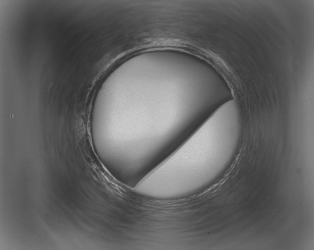 X0000083611212200702120715