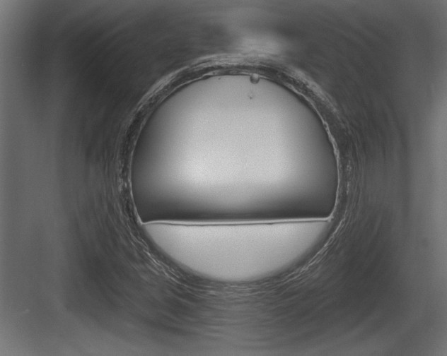 X0000083611213200702120715