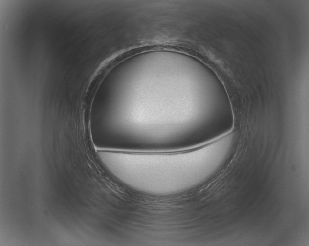 X0000083611214200702120715