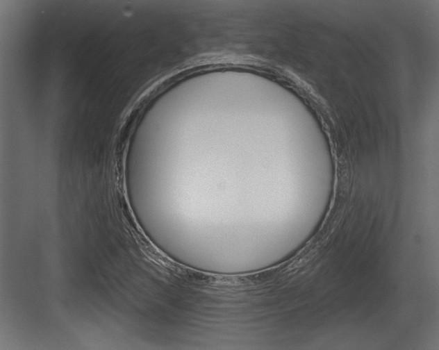X0000083611215200702120715