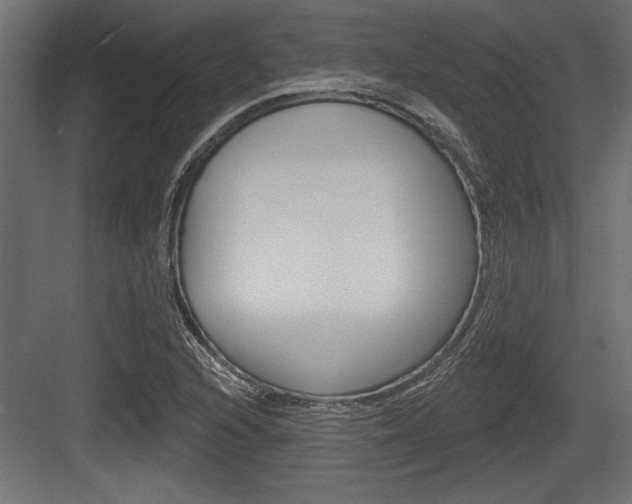 X0000083611216200702120715