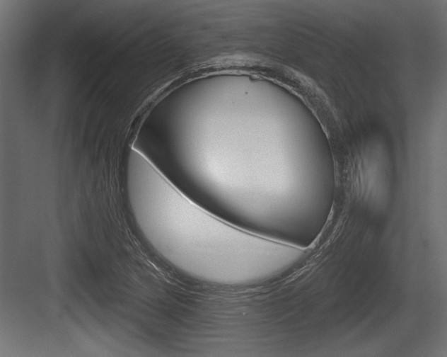 X0000083611217200702120715