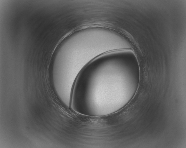 X0000083611218200702120715