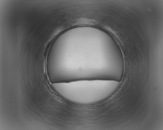 X0000083611219200702120715